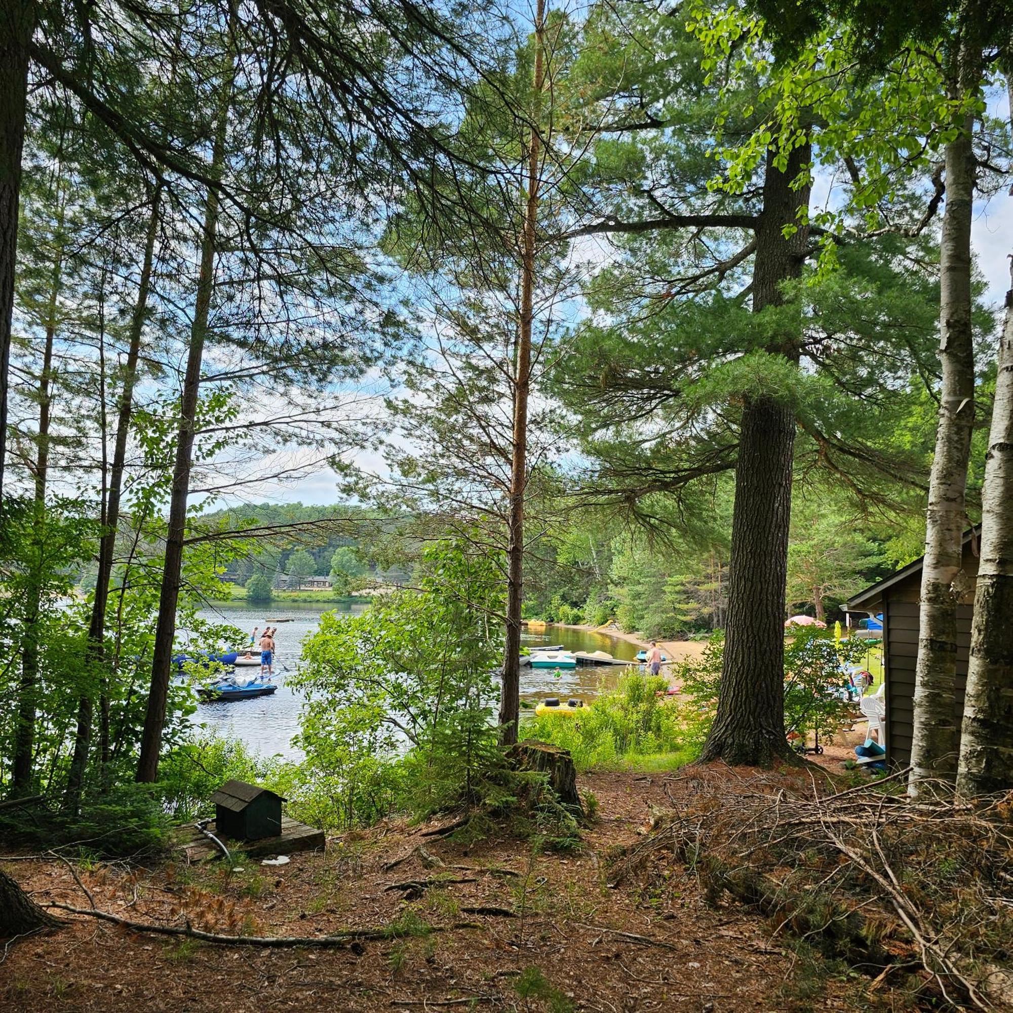 Parkway Cottage Resort And Trading Post Dwight Extérieur photo